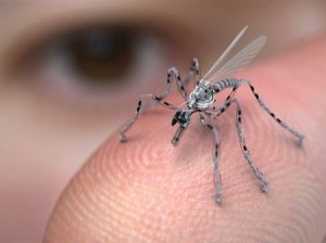 rimedi ecologia domestica per proteggere bambini da zanzare