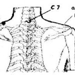 punto collo digitopressione gravidanza