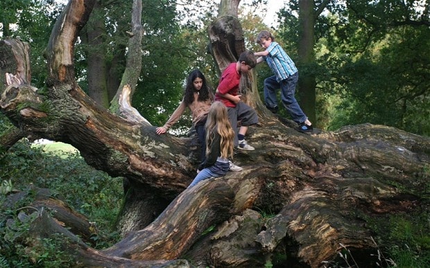 Arrampicarsi sugli alberi insegna al bambino a responsabilizzarsi