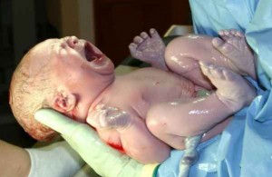 data parto data parto neonato nasce